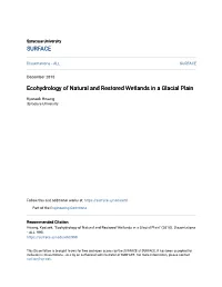 Ecohydrology of Natural and Restored Wetlands in a Glacial Plain