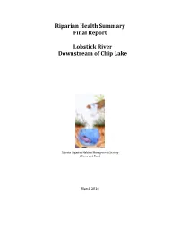 Lobstick River Riparian Health Summary