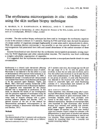 The Erythrasma Microorganism in Situ: Studies Using the Skin Surface Biopsy Technique