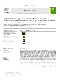 The Passionvine Mealybug, Planococcus Minor (Maskell) (Hemiptera: Pseudococcidae), and Its Natural Enemies in the Cocoa Agroecosystem in Trinidad ⇑ Antonio W
