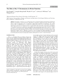 The Role of the Y Chromosome in Brain Function
