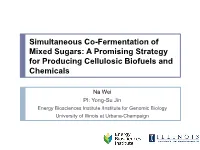 A) and Co-Fermentation (B