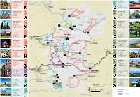 CCS Tríptic Rutessegarra