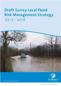 Draft Surrey Local Flood Risk Management Strategy 2012 - 2016