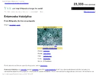 Entamoeba Histolytica - Wikipedia, the Free Encyclopedia • Ten Things You May Not Know About Wikipedia • 23,333 Have Donated