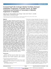 Independent Progression in Prostate Cancer Via Signal Transducers and Activators of Transcription 3–Mediated Suppression of Apoptosis