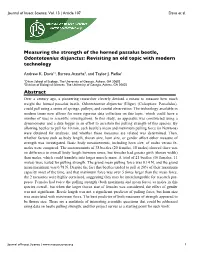 Measuring the Strength of the Horned Passalus Beetle, Odontotaenius Disjunctus: Revisiting an Old Topic with Modern Technology