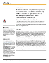 Morphofunctional Analysis of the Quadrate of Spinosauridae