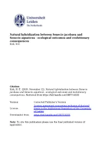 Summary and Conclusions