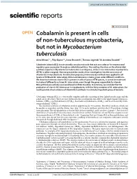 Cobalamin Is Present in Cells of Non-Tuberculous Mycobacteria, But