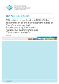 EPA Advice on Application APP201895 – Determination on the New Organism Status of Pseudomonas Monteilii, Rhodococcus Pyridiniv