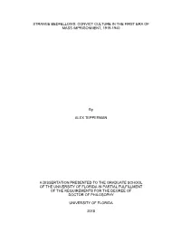 University of Florida Thesis Or Dissertation Formatting
