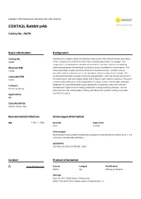 COX7A2L Rabbit Pab