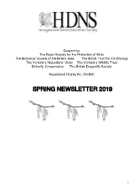 Spring Newsletter 2019