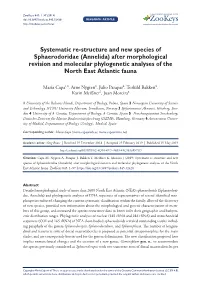Systematic Re-Structure and New Species of Sphaerodoridae (Annelida) After Morphological Revision and Molecular Phylogenetic Analyses of the North East Atlantic Fauna