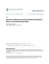 Disposition of Wastewater-Associated Polybrominated Diphenyl Ethers in a Freshwater Receiving Stream