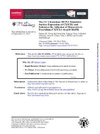 Fractalkine/CX3CL1 Via P38 MAPK Enhances the Adhesion Of
