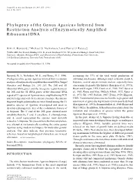 Phylogeny of the Genus Agaricus Inferred from Restriction Analysis of Enzymatically Amplified Ribosomal DNA