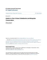 Globalization and Mongolian Cheesemakers