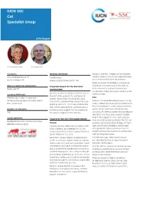 2019 Cat Specialist Group Report