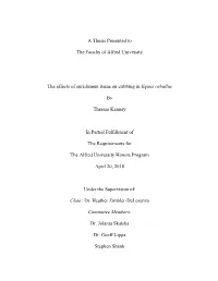 A Thesis Presented to the Faculty of Alfred University the Effects Of