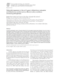 Differential Expression of the Pr1a Gene in Metarhizium Anisopliae and Metarhizium Acridum Across Different Culture Conditions and During Pathogenesis