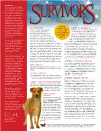 About the Series Target Audience Program Objectives Common Core and National Standards How to Use This Program Activity 1