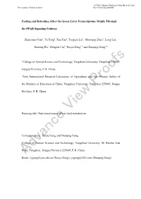 Advance View Proofs