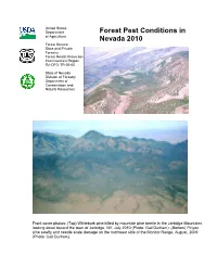 2010 Nevada Forest Conditions Report