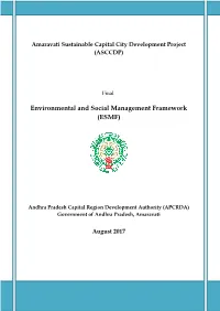 Environmental and Social Management Framework (ESMF)