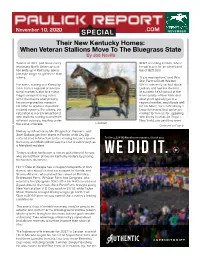 To Read This Edition of the Pr Special