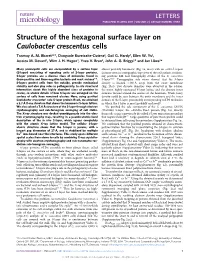 Structure of the Hexagonal Surface Layer on Caulobacter Crescentus Cells Tanmay A