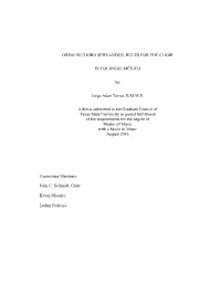 Ordo in Choro Servandus: Rules for the Choir In