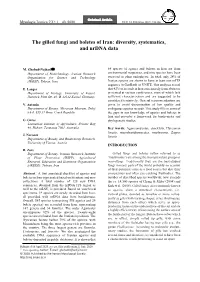 The Gilled Fungi and Boletes of Iran: Diversity, Systematics, and Nrdna Data