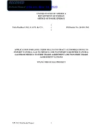 20-153-LNG Mid-Scale Project.Pdf
