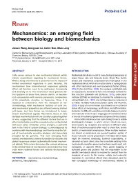 An Emerging Field Between Biology and Biomechanics