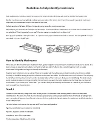 Guidelines to Help Identify Mushrooms