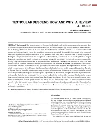 Testicular Descend, How and Why: a Review Article
