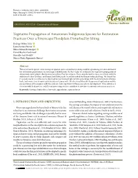 Vegetative Propagation of Amazonian Indigenous Species for Restoration Practices Over a Riverscape Floodplain Disturbed by Silti