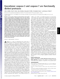 Executioner Caspase-3 and Caspase-7 Are Functionally Distinct Proteases