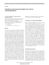 Functional and Structural Insights Into Astacin Metallopeptidases