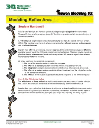 Modeling Reflex Arcs