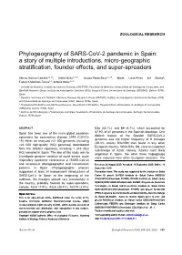Phylogeography of SARS-Cov-2 Pandemic in Spain: a Story of Multiple Introductions, Micro-Geographic Stratification, Founder Effects, and Super-Spreaders