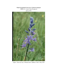 Plant Propagation Protocol for ​Camassia Quamash ESRM 412