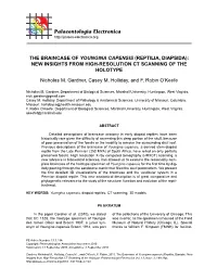 Reptilia, Diapsida): New Insights from High-Resolution Ct Scanning of the Holotype