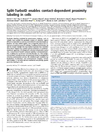 Split-Turboid Enables Contact-Dependent Proximity Labeling in Cells