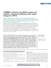 COMMD1 Is Linked to the WASH Complex and Regulates Endosomal Trafficking of the Copper Transporter ATP7A