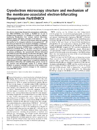 Cryoelectron Microscopy Structure and Mechanism of the Membrane-Associated Electron-Bifurcating Flavoprotein Fix/Etfabcx