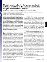Multiple Binding Sites for the General Anesthetic Isoflurane Identified in the Nicotinic Acetylcholine Receptor Transmembrane Domain
