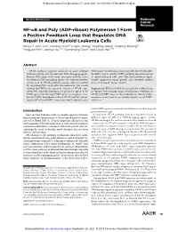 NF-Kb and Poly (ADP-Ribose) Polymerase 1 Form a Positive
